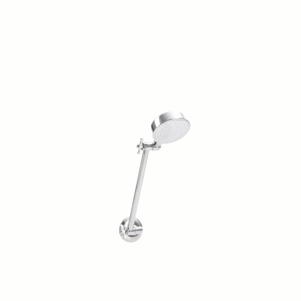 Adjustable Shower Arm and Rose Chrome WaterMark