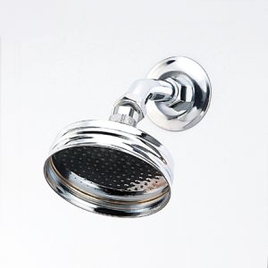 Ball Joint Shower 58mm Rose and Arm Chrome WELS 3 Star