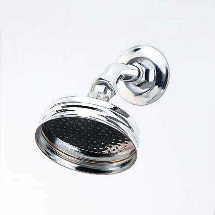 Ball Joint Shower Rose Only 100mm Chrome WELS 3 Star