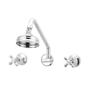 JULZ GOOSENECK SHOWER ARM & ROSE WELS 3 STAR C/P