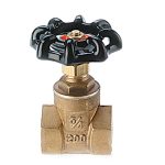 GATE VALVE UNTESTED